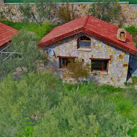 Farm stay The Mira House Ayvalik